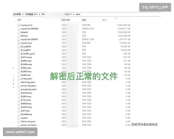 为什么检测和响应技术无法解决所有勒索软件攻击 媒体 为什么检测和响应技术无法解决所有勒索软件攻击 媒体